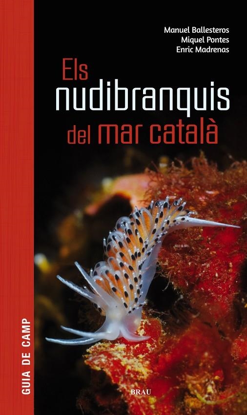 Els nudibranquis del mar català | 9788415885924 | Ballesteros Vázquez, Manuel/Pontes Garcia, Miquel/Madrenas Tomàs, Enric | Llibres.cat | Llibreria online en català | La Impossible Llibreters Barcelona