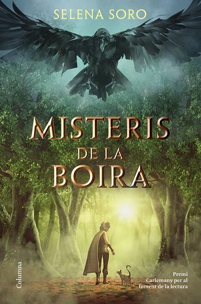 Misteris de la boira | 9788466426619 | Soro, Selena | Llibres.cat | Llibreria online en català | La Impossible Llibreters Barcelona