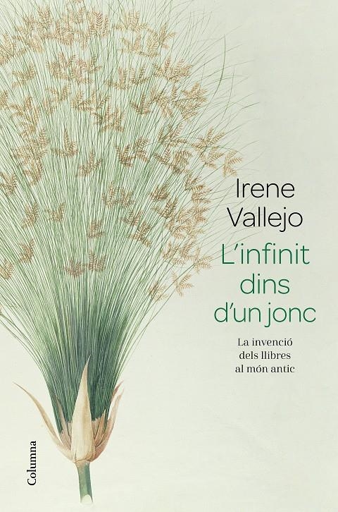 L'infinit dins d'un jonc | 9788466427074 | Vallejo, Irene | Llibres.cat | Llibreria online en català | La Impossible Llibreters Barcelona