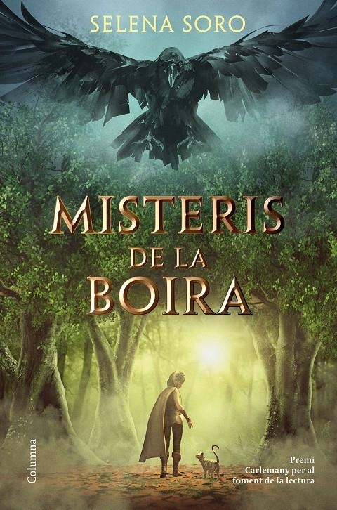 Misteris de la boira | 9788466426725 | Soro, Selena | Llibres.cat | Llibreria online en català | La Impossible Llibreters Barcelona