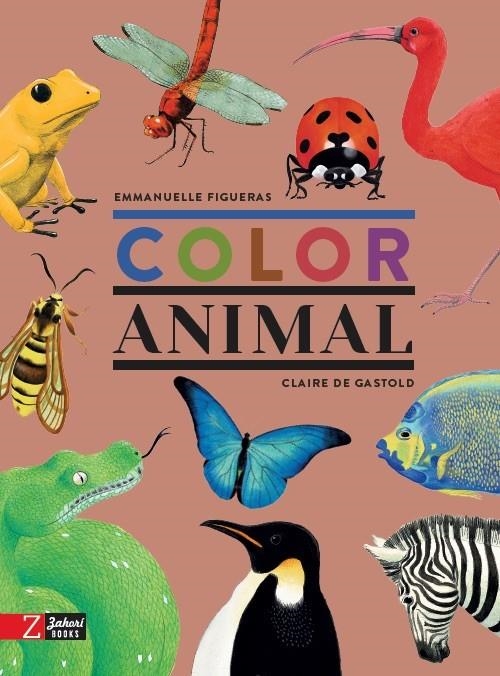 COLOR ANIMAL - CATALÀ | 9788417374648 | FIGUERAS, EMMANUELLE | Llibres.cat | Llibreria online en català | La Impossible Llibreters Barcelona