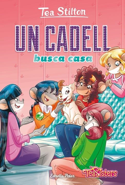 Un cadell busca casa | 9788418443367 | Stilton, Tea | Llibres.cat | Llibreria online en català | La Impossible Llibreters Barcelona