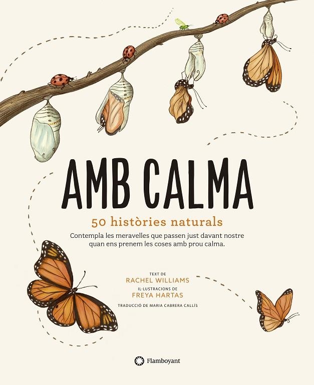 Amb calma | 9788417749583 | Williams, Rachel | Llibres.cat | Llibreria online en català | La Impossible Llibreters Barcelona