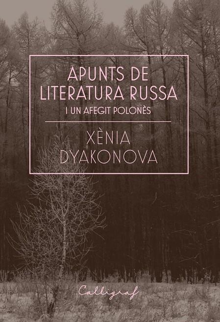 Apunts de literatura russa i un afegit polonès | 9788412212358 | Dyakonova, Xènia | Llibres.cat | Llibreria online en català | La Impossible Llibreters Barcelona