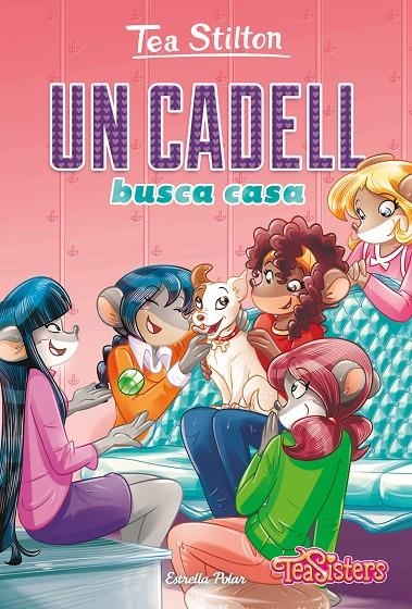 Un cadell busca casa | 9788418134852 | Stilton, Tea | Llibres.cat | Llibreria online en català | La Impossible Llibreters Barcelona