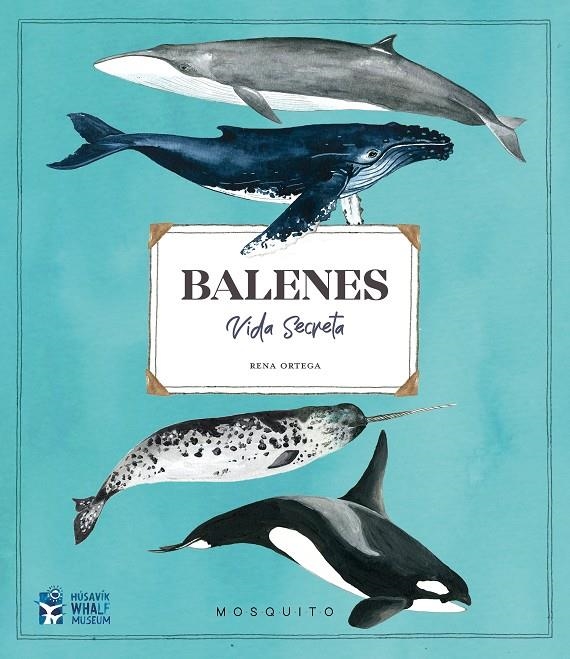 BALENES VIDA SECRETA | 9788412247954 | RENA ORTEGA | Llibres.cat | Llibreria online en català | La Impossible Llibreters Barcelona