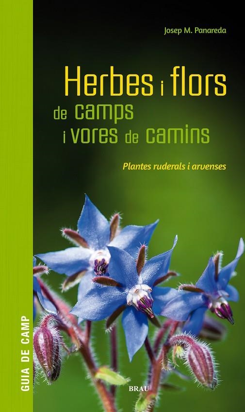 Herbes i flors de camps i vores de camins | 9788418096082 | Panareda Clopés, Josep M | Llibres.cat | Llibreria online en català | La Impossible Llibreters Barcelona