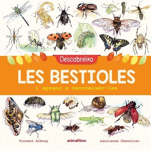 Descobreixo les bestioles i aprenc a reconèixer-les | 9788417599201 | Albouy, Vincent | Llibres.cat | Llibreria online en català | La Impossible Llibreters Barcelona