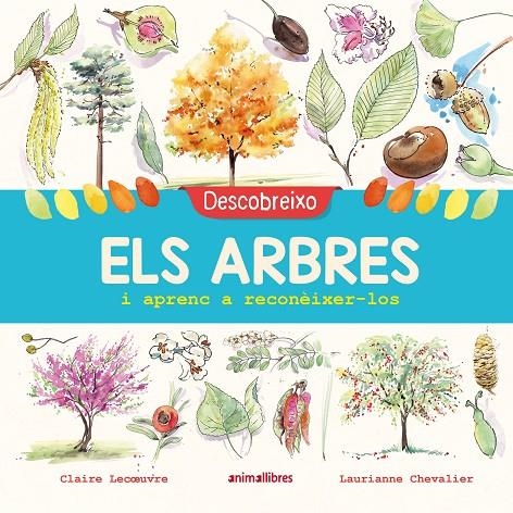 Descobreixo els arbres i aprenc a reconèixer-los | 9788417599195 | Lecoeuvre, Claire | Llibres.cat | Llibreria online en català | La Impossible Llibreters Barcelona