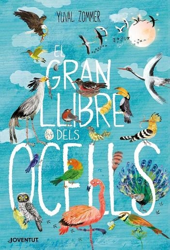 El gran llibre dels ocells | 9788426145840 | Zommer, Yuval | Llibres.cat | Llibreria online en català | La Impossible Llibreters Barcelona