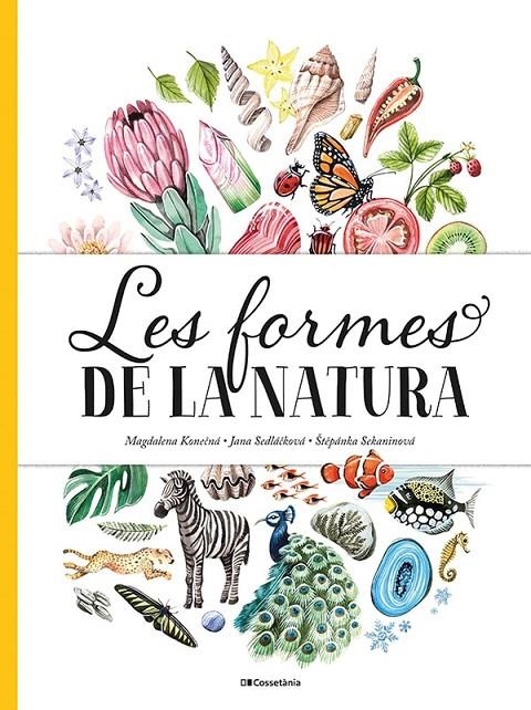 Les formes de la natura | 9788413560434 | Sedlackova, Jana/Sekaninova, Stepanka | Llibres.cat | Llibreria online en català | La Impossible Llibreters Barcelona