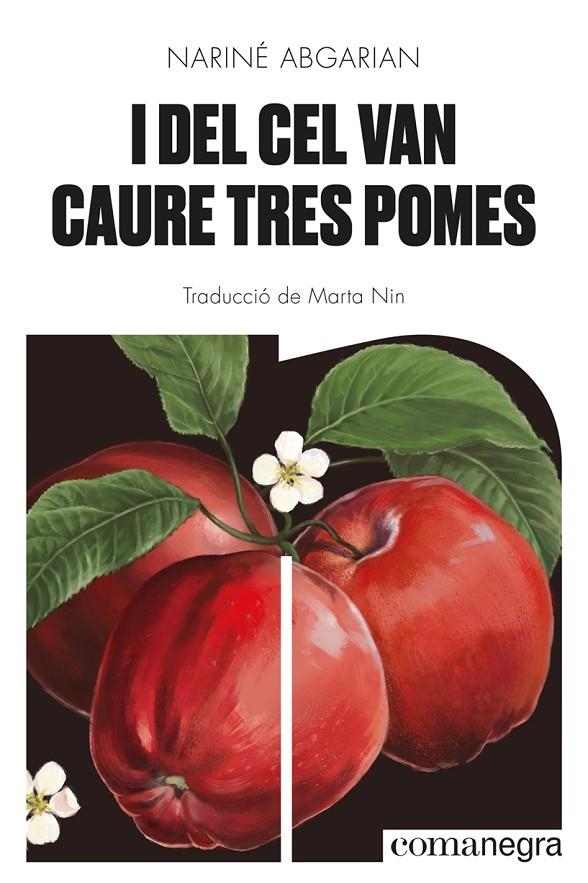 I del cel van caure tres pomes | 9788418857041 | Abgarian, Nariné | Llibres.cat | Llibreria online en català | La Impossible Llibreters Barcelona