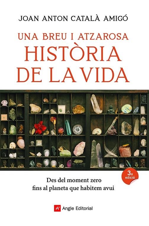 Una breu i atzarosa història de la vida | 9788418197956 | Català Amigó, Joan Anton | Llibres.cat | Llibreria online en català | La Impossible Llibreters Barcelona