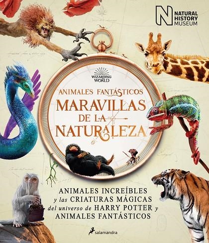 Animales fantásticos: maravillas de la naturaleza | 9788418637056 | The National History Museum, | Llibres.cat | Llibreria online en català | La Impossible Llibreters Barcelona