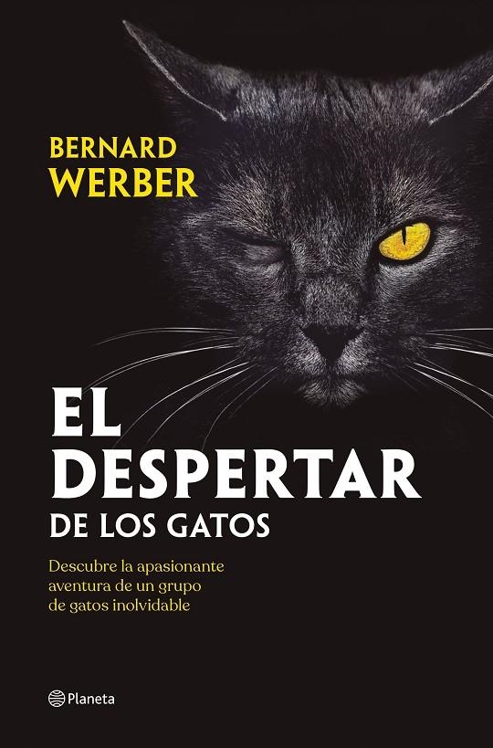 El despertar de los gatos | 9788408251835 | Werber, Bernard | Llibres.cat | Llibreria online en català | La Impossible Llibreters Barcelona