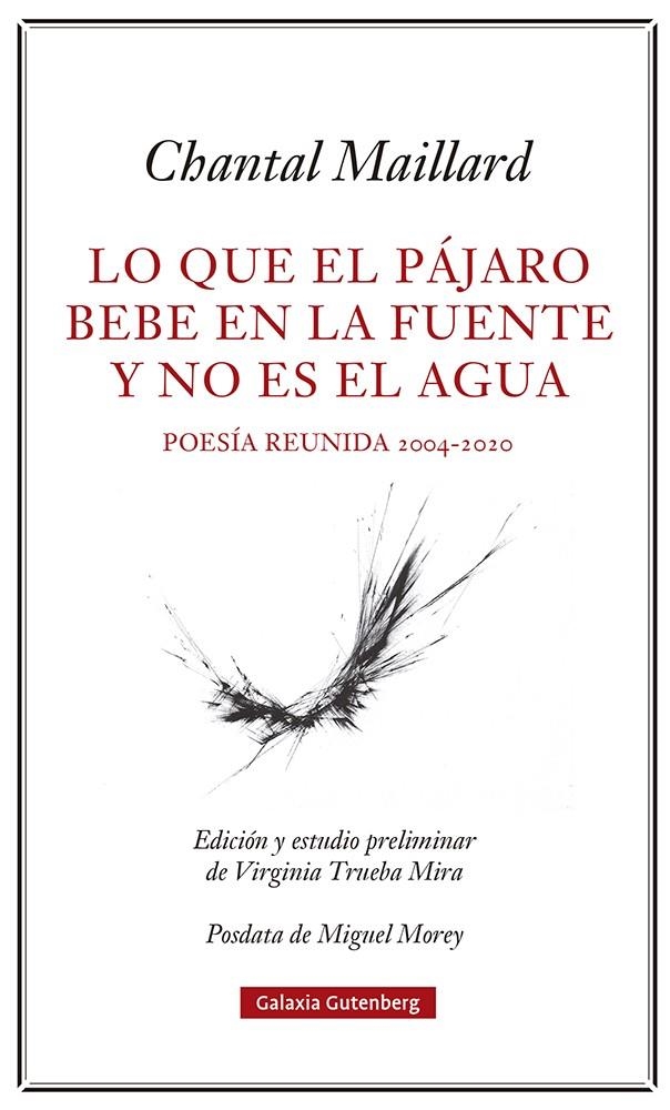 Lo que el pájaro bebe en la fuente y no es el agua | 9788418807633 | Maillard, Chantal | Llibres.cat | Llibreria online en català | La Impossible Llibreters Barcelona