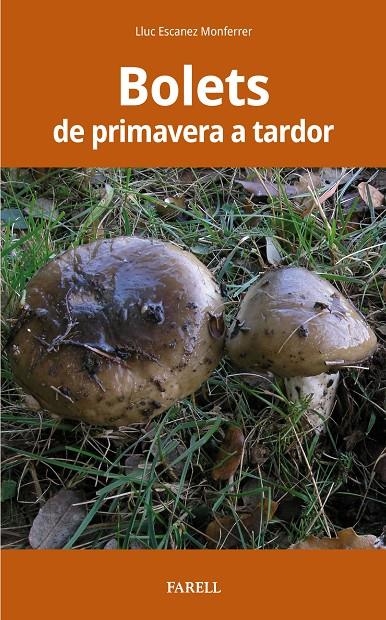 Bolets de primavera a tardor | 9788417116538 | Lluc Escanez | Llibres.cat | Llibreria online en català | La Impossible Llibreters Barcelona