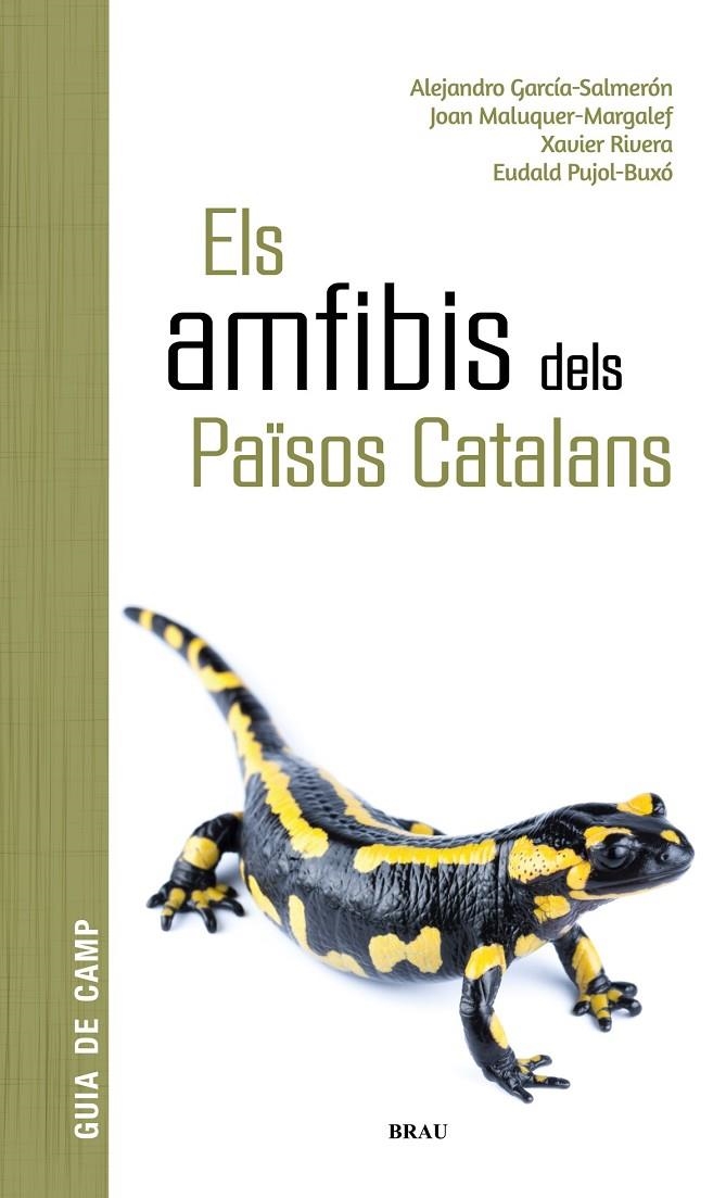 Els amfibis dels Països Catalans | 9788418096341 | García Salmerón, Alejandro/Maluquer Margalef, Joan/Rivera Mula, Xavier/Pujol Buxó, Eudald | Llibres.cat | Llibreria online en català | La Impossible Llibreters Barcelona