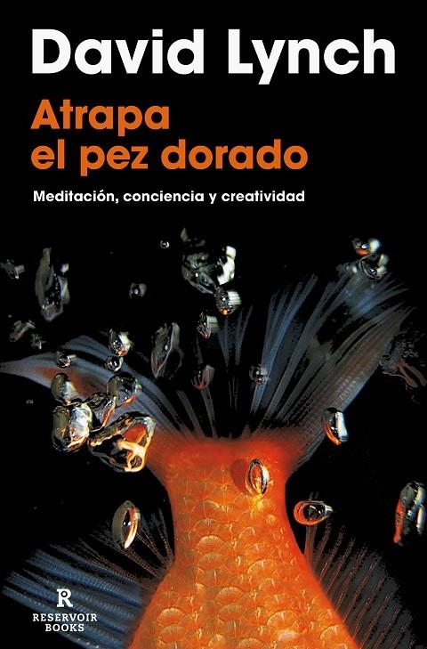 Atrapa el pez dorado | 9788418897436 | Lynch, David | Llibres.cat | Llibreria online en català | La Impossible Llibreters Barcelona