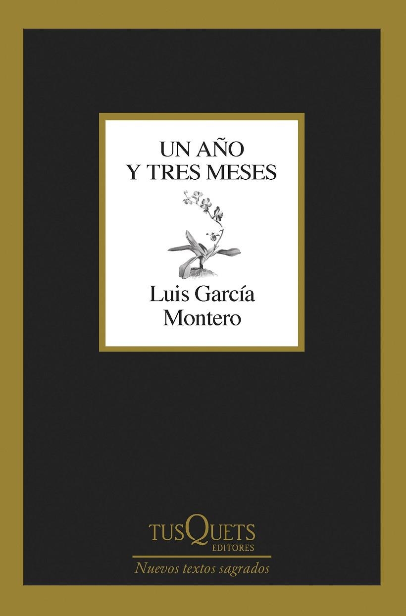 Un año y tres meses | 9788411071475 | García Montero, Luis | Llibres.cat | Llibreria online en català | La Impossible Llibreters Barcelona