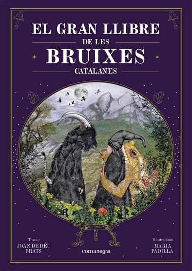 El gran llibre de les bruixes catalanes | 9788418857751 | Prats, Joan de Déu/Padilla Climent, Maria | Llibres.cat | Llibreria online en català | La Impossible Llibreters Barcelona