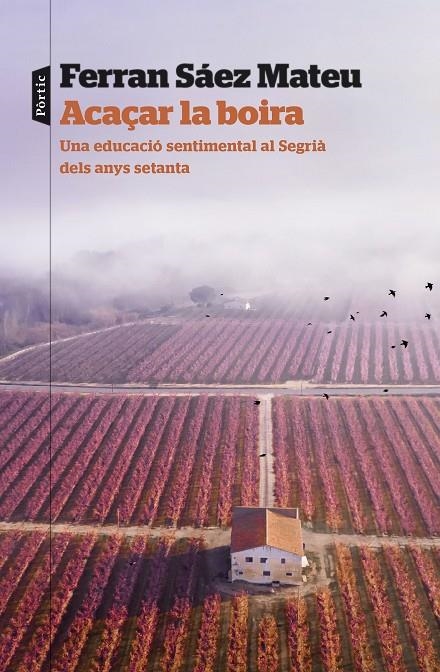 Acaçar la boira | 9788498095203 | Saez Mateu, Ferran | Llibres.cat | Llibreria online en català | La Impossible Llibreters Barcelona