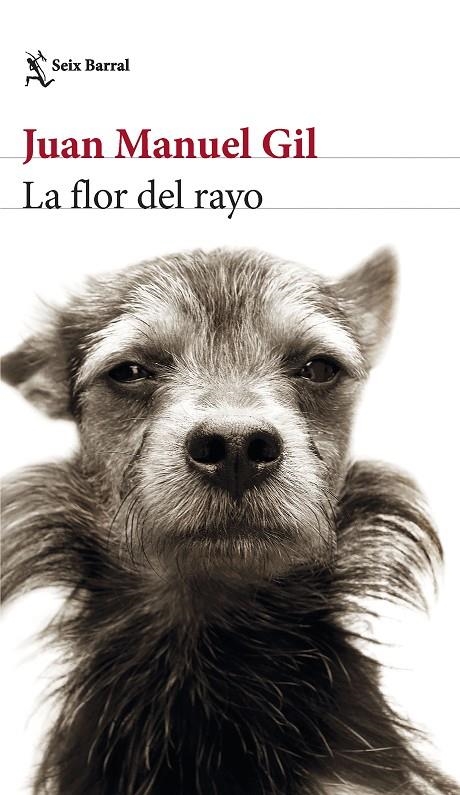 La flor del rayo | 9788432241574 | Gil, Juan Manuel | Llibres.cat | Llibreria online en català | La Impossible Llibreters Barcelona