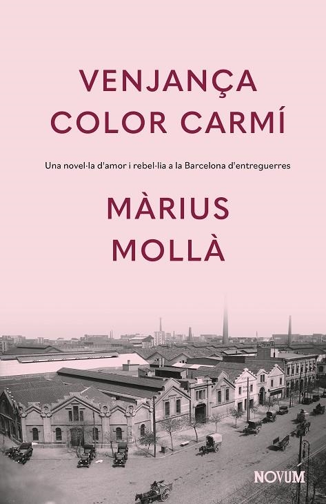 Venjança color carmí | 9788419311771 | Mollà, Màrius | Llibres.cat | Llibreria online en català | La Impossible Llibreters Barcelona