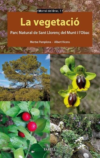 La vegetació al parc natural de Sant Llorenç del Munt i l'Obac | 9788417116705 | Vicens Llaurado, Albert/Pamplona Fern?ndez, Mertxe | Llibres.cat | Llibreria online en català | La Impossible Llibreters Barcelona