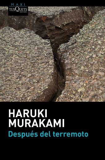 Después del terremoto | 9788483838891 | Murakami, Haruki | Llibres.cat | Llibreria online en català | La Impossible Llibreters Barcelona