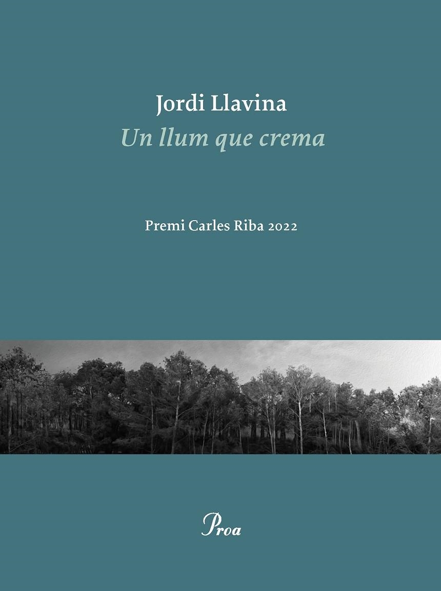 Un llum que crema | 9788475889979 | Llavina, Jordi | Llibres.cat | Llibreria online en català | La Impossible Llibreters Barcelona