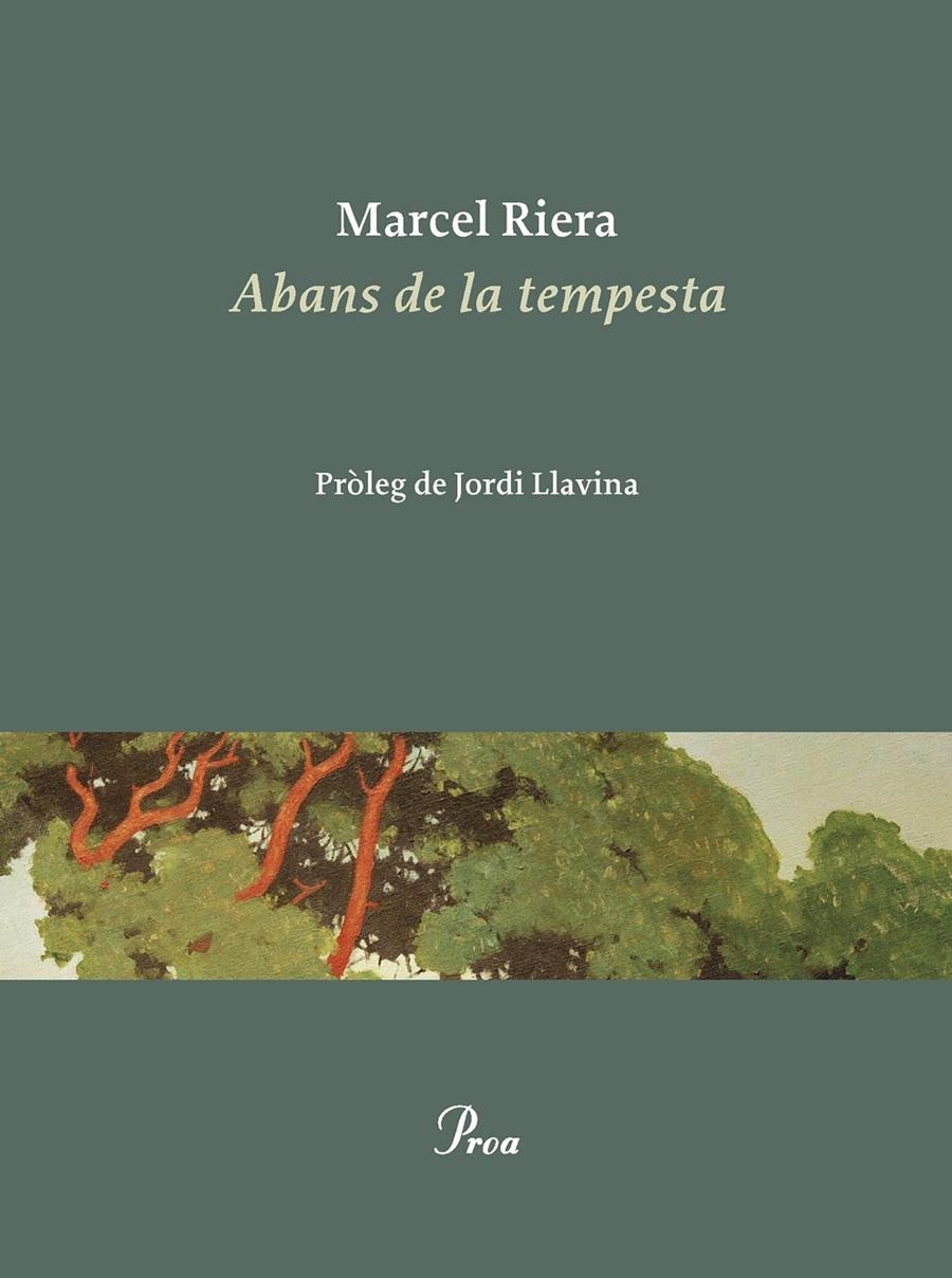 Abans de la tempesta | 9788419657053 | Riera Bou, Marcel | Llibres.cat | Llibreria online en català | La Impossible Llibreters Barcelona