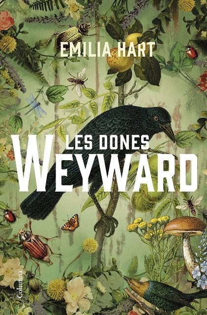 Les dones Weyward | 9788466430449 | Hart, Emilia | Llibres.cat | Llibreria online en català | La Impossible Llibreters Barcelona