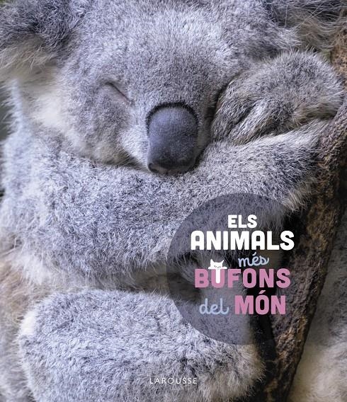 Els animals més bufons del món | 9788419436399 | Ledu, Stéphanie | Llibres.cat | Llibreria online en català | La Impossible Llibreters Barcelona