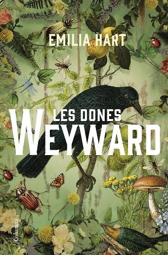 Les dones Weyward | 9788466430210 | Hart, Emilia | Llibres.cat | Llibreria online en català | La Impossible Llibreters Barcelona