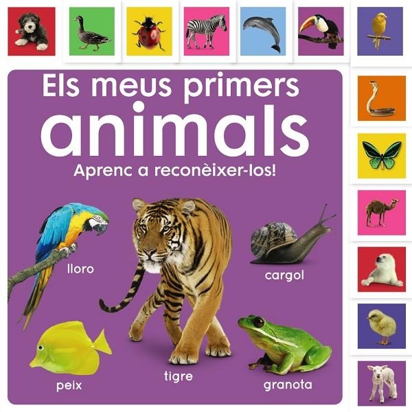 Els meus primers animals. Aprenc a reconèixer-los! | 9788413492476 | Sirett, Dawn | Llibres.cat | Llibreria online en català | La Impossible Llibreters Barcelona