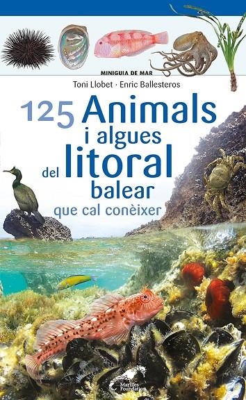 125 Animals i algues del litoral balear que cal conèixer | 9788413562704 | Ballesteros Sagarra, Enric | Llibres.cat | Llibreria online en català | La Impossible Llibreters Barcelona