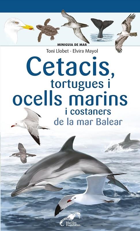 Cetacis, tortugues i ocells marins i costaners de la mar Balear | 9788413562735 | Mayol, Elvira | Llibres.cat | Llibreria online en català | La Impossible Llibreters Barcelona