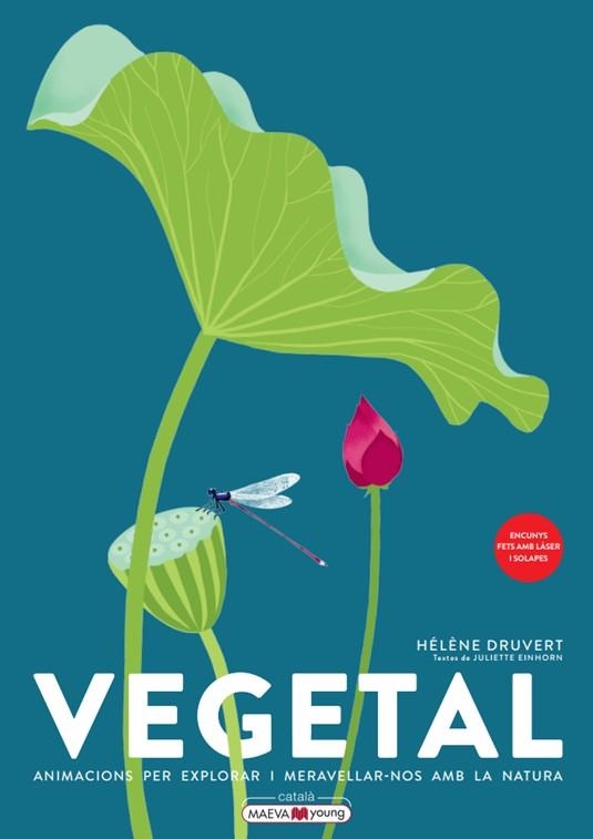 Vegetal | 9788419110886 | Druvert, Hélène | Llibres.cat | Llibreria online en català | La Impossible Llibreters Barcelona