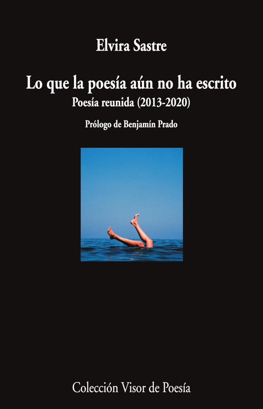 Lo que la poesía aún no ha escrito | 9788498954920 | Sastre, Elvira | Llibres.cat | Llibreria online en català | La Impossible Llibreters Barcelona