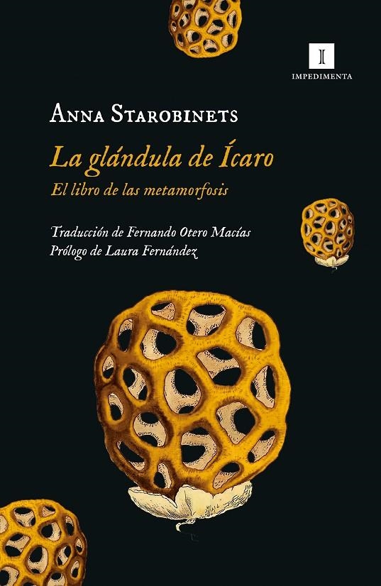 GLANDULA DE ICARO | 9788419581020 | Starobinets, Anna | Llibres.cat | Llibreria online en català | La Impossible Llibreters Barcelona