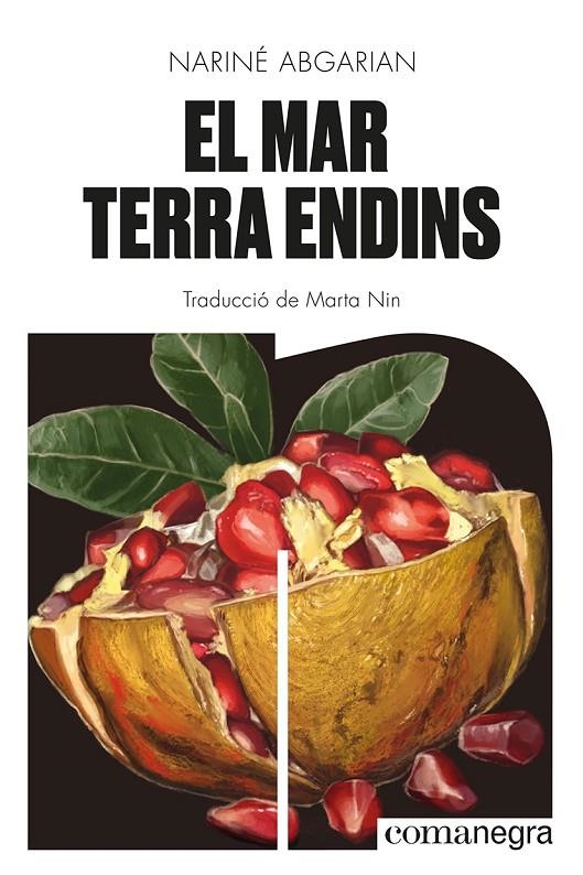 El mar terra endins | 9788419590343 | Abgarian, Nariné | Llibres.cat | Llibreria online en català | La Impossible Llibreters Barcelona