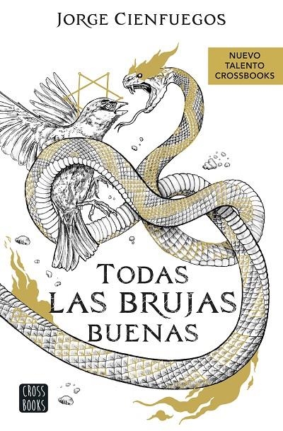 Todas las brujas buenas | 9788408260066 | Cienfuegos, Jorge | Llibres.cat | Llibreria online en català | La Impossible Llibreters Barcelona