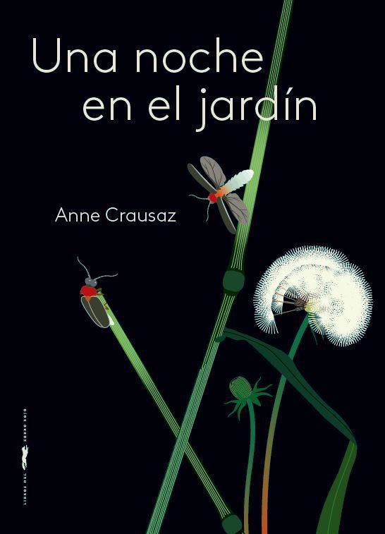 Una noche en el jardín | 9788412570687 | Anne Crausaz | Llibres.cat | Llibreria online en català | La Impossible Llibreters Barcelona