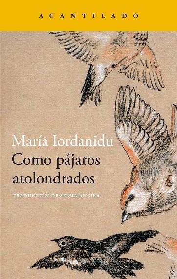 Como pájaros atolondrados | 9788419036704 | Iordanidu, Maria | Llibres.cat | Llibreria online en català | La Impossible Llibreters Barcelona