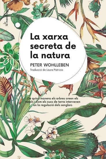 La xarxa secreta de la natura | 9788413562872 | Wohlleben, Peter | Llibres.cat | Llibreria online en català | La Impossible Llibreters Barcelona