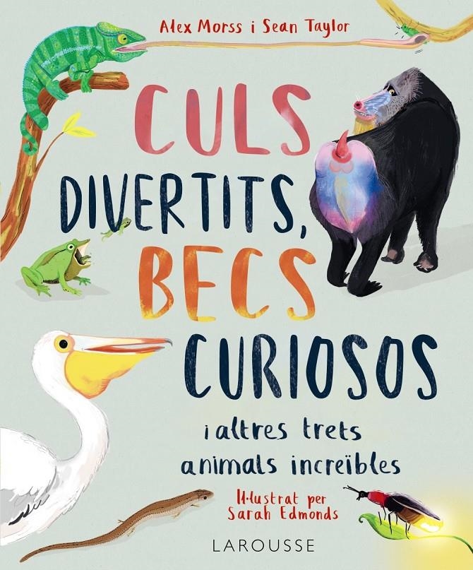 Culs divertits, becs curiosos | 9788419739469 | Morss, Alex / Taylor, Sean | Llibres.cat | Llibreria online en català | La Impossible Llibreters Barcelona