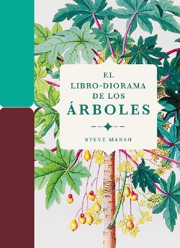 El libro-diorama de los árboles | 9788412386196 | Marsh, Steve | Llibres.cat | Llibreria online en català | La Impossible Llibreters Barcelona