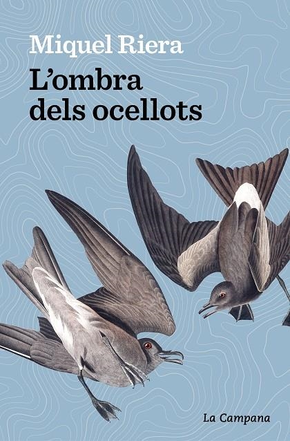 L’ombra dels ocellots | 9788419245175 | Riera, Miquel | Llibres.cat | Llibreria online en català | La Impossible Llibreters Barcelona