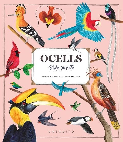 Ocells. Vida Secreta | 9788419095534 | Esteban, Diana | Llibres.cat | Llibreria online en català | La Impossible Llibreters Barcelona